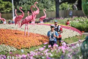 BIB: 
                            <button type="button" onclick="openModal(27793206)" class="btn btn-primary btn-sm float-right btn-popup" data-toggle="modal" data-target=".modal-high-quality">
                        <i class="fas fa-shopping-cart"></i> Add to Cart
                    </button>
                                            <button type="button" onclick="isThisMe(27793206, true)" class="btn btn-success btn-sm float-right btn-popup btn-isme hidden" data-toggle="tooltip" data-placement="bottom" title="นี่คือรูปของคุณใช่ไหม คลิกที่นี่เพื่อเอาเข้าอัลบั้ม">
                        <i class="fas fa-plus"></i> Add to album
                    </button>
                    <button type="button" onclick="isThisMe(27793206, false)" class="btn btn-warning btn-sm float-right btn-popup btn-isnotme hidden">
                        <i class="fas fa-ban"></i> Remove from album
                    </button>